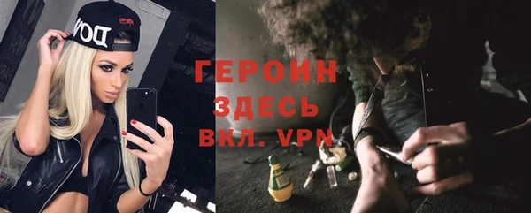 дживик Сосновый Бор