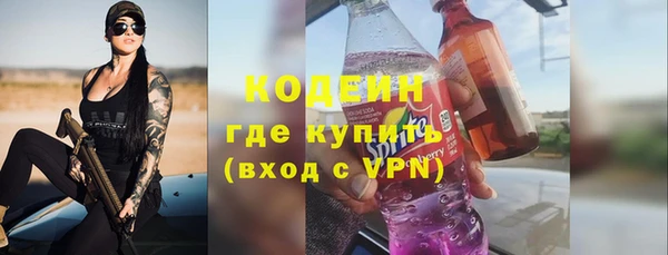 дживик Сосновый Бор