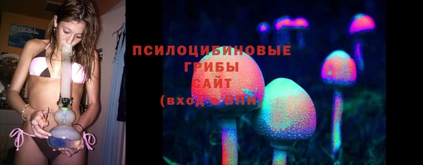 дживик Сосновый Бор