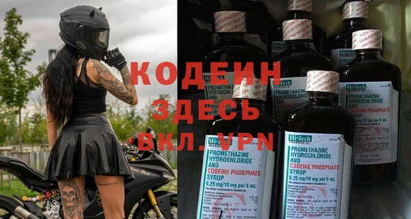дживик Сосновый Бор